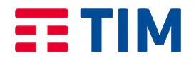 팀